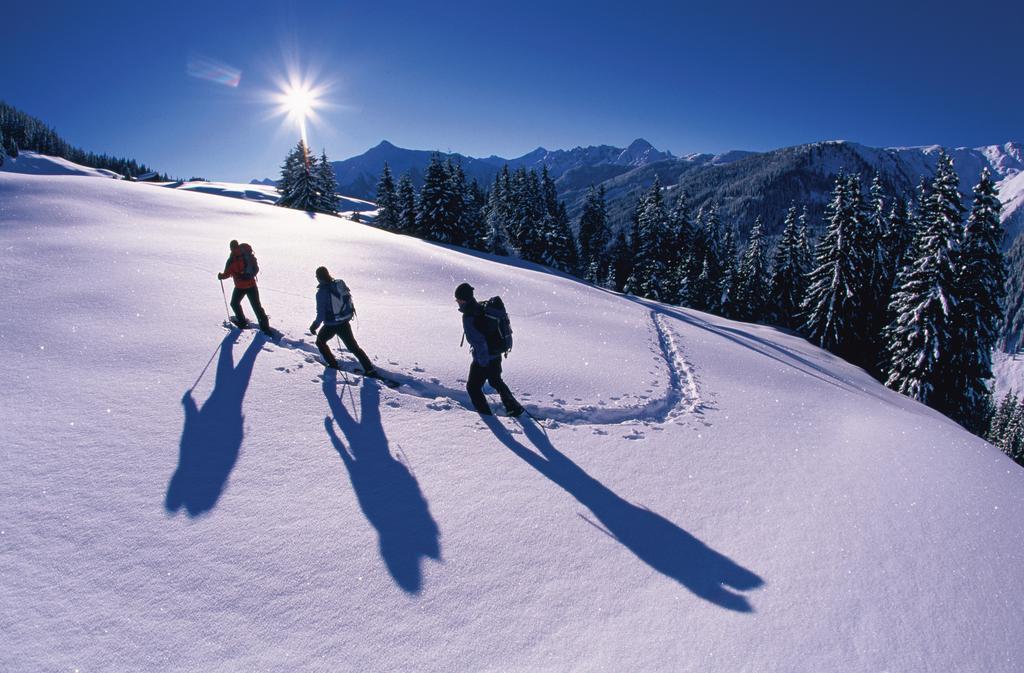 פוגן Alpina Zillertal . Family Lifestyle Kinderhotel מראה חיצוני תמונה