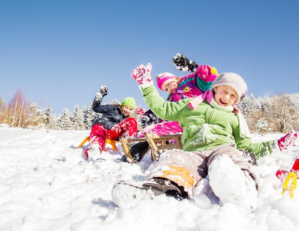 פוגן Alpina Zillertal . Family Lifestyle Kinderhotel מראה חיצוני תמונה